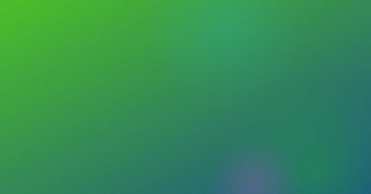 呆呆熊推荐：新手对比选